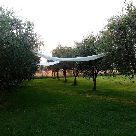 Vecchio Casale Margherita Camaiore Exterior photo